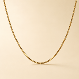 Classic Gold-Toned Box Chain