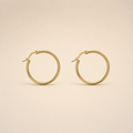 Vervit Gold Classic Hoop Earrings for Women – 18K Gold-Plated 316L Stainless Steel
